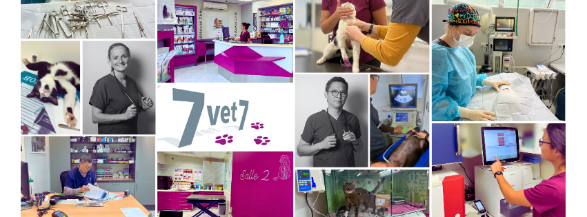 7vet7 Créteil