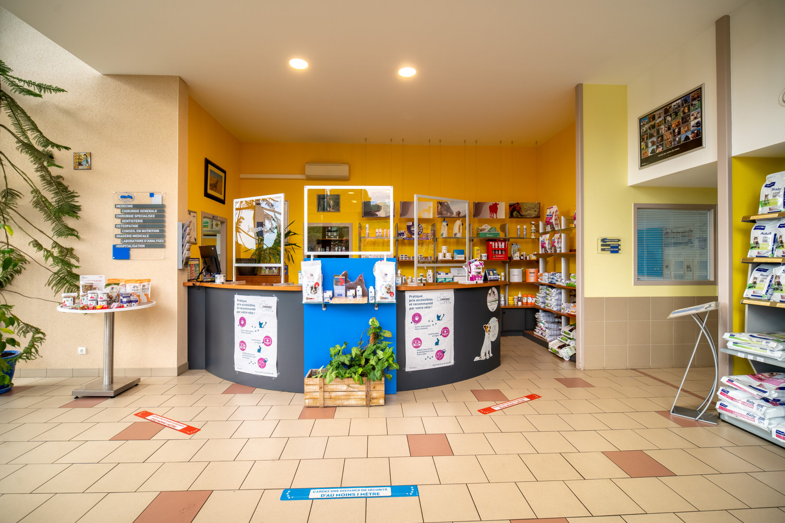 Clinique Vétérinaire de l&rsquo;Araucaria