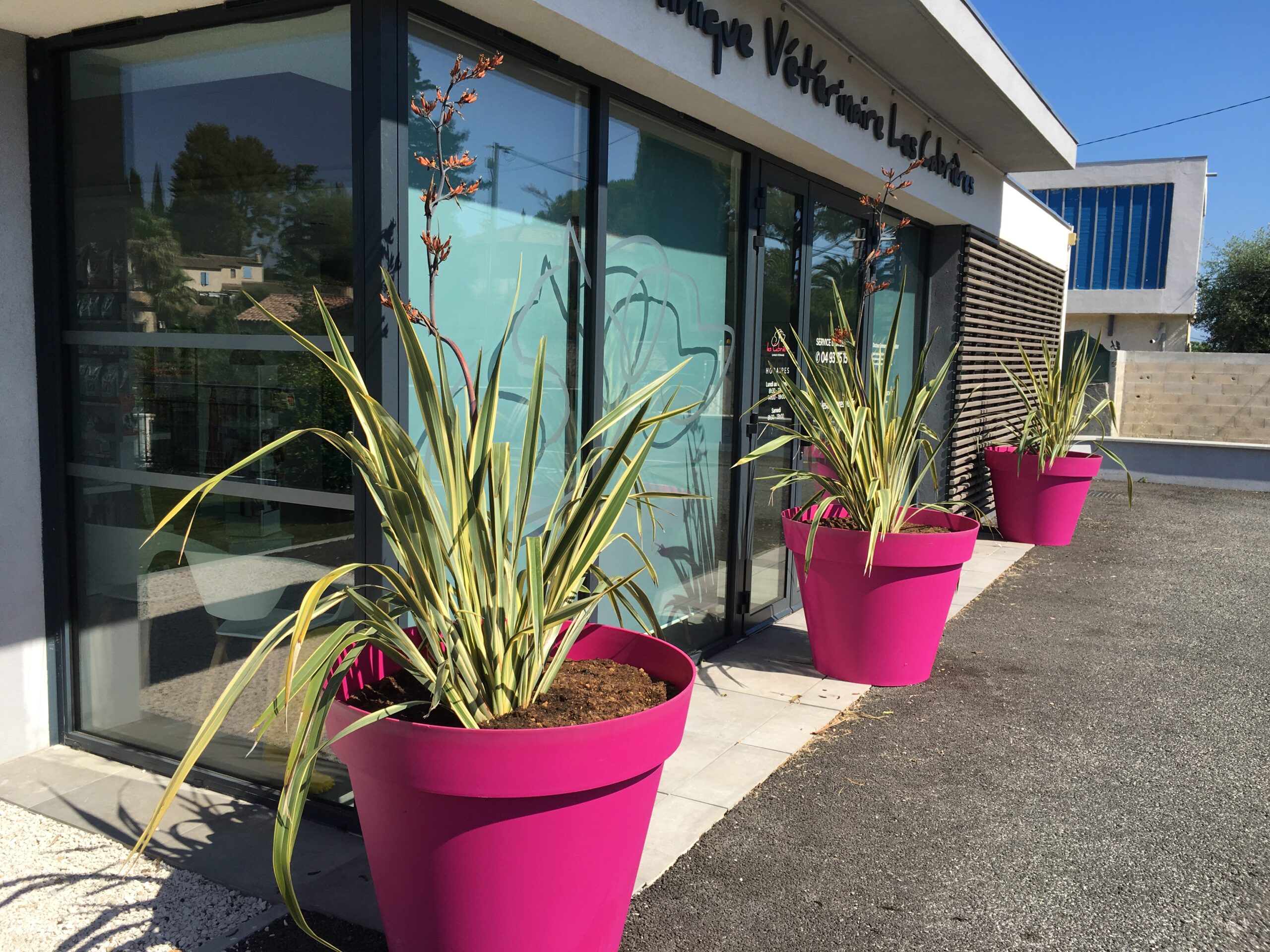 Clinique Vétérinaire des Cabrières