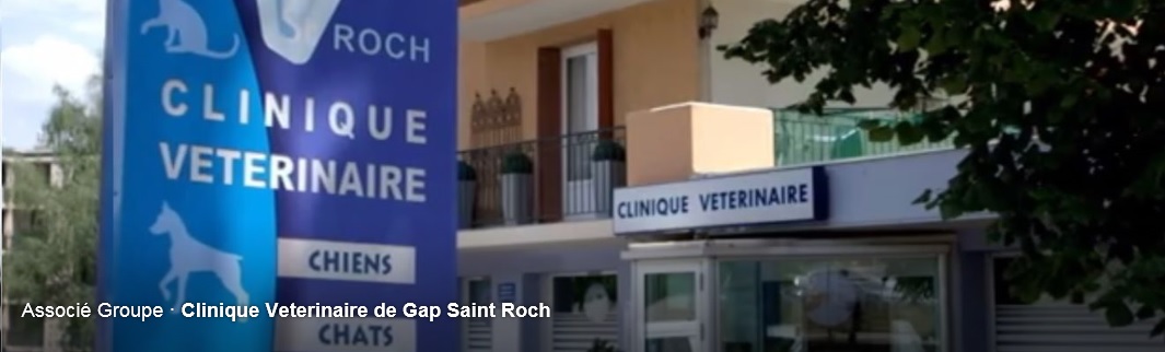 Clinique Vétérinaire St Roch