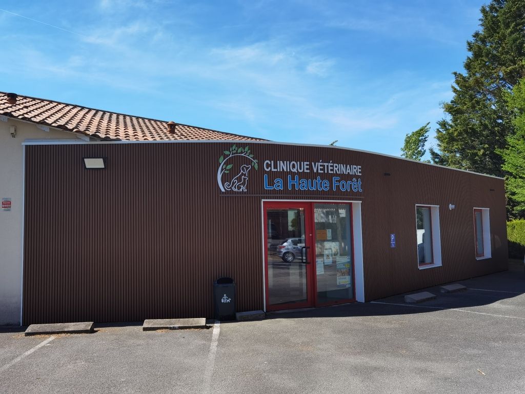 Clinique Vétérinaire De La Haute Foret