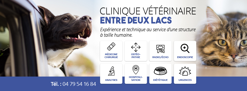 CV Entredeuxlacs