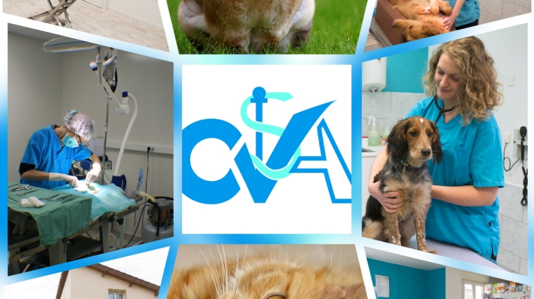 Clinique Veterinaire de la Source du Der