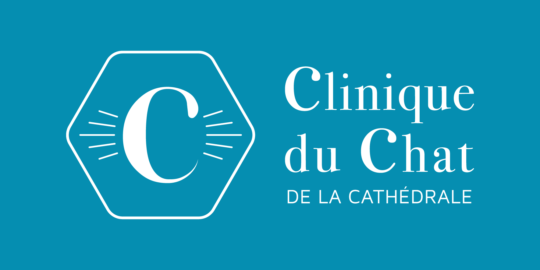 Clinique Veterinaire du Chat