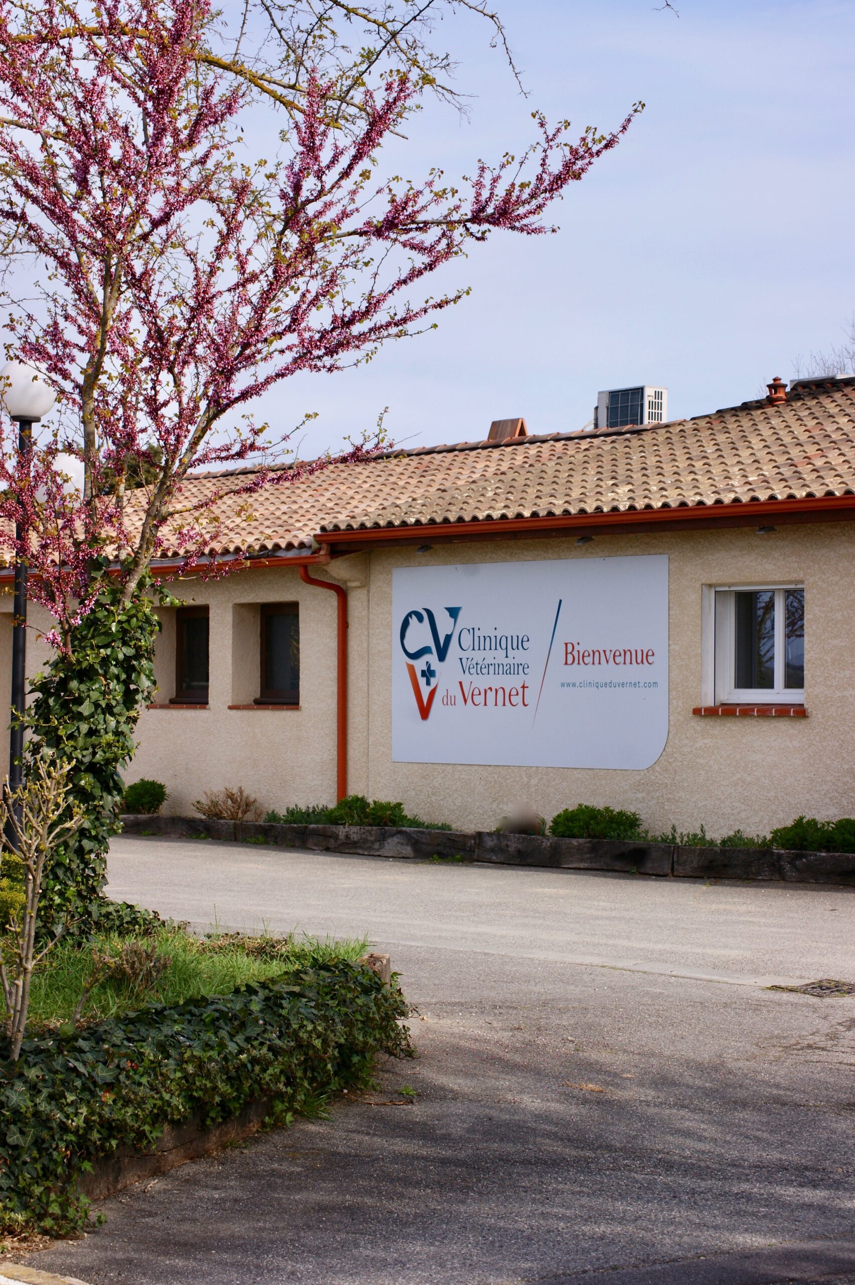 Clinique Vétérinaire de Vernet