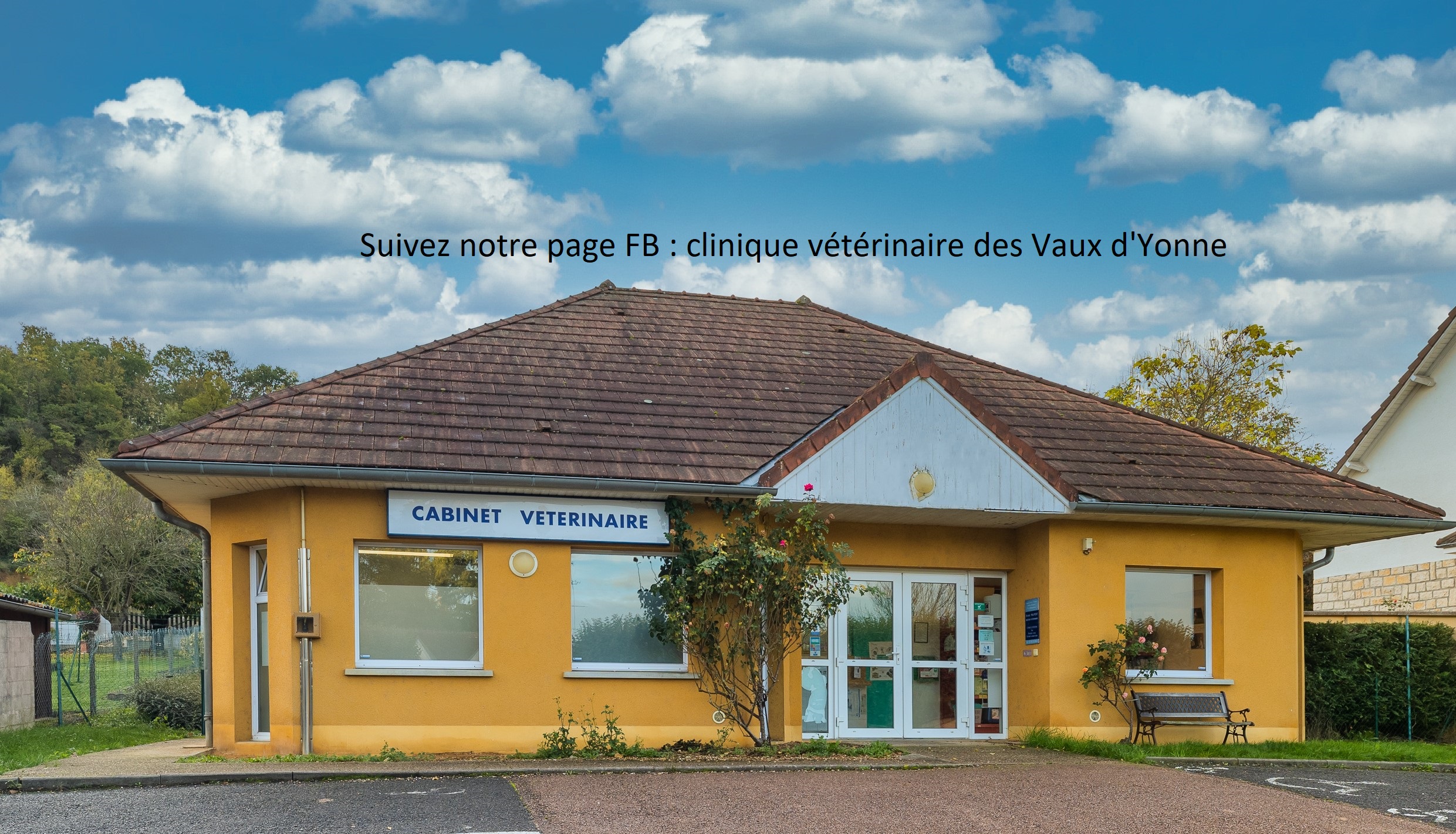Veterinaire des Vaux d&rsquo;Yonne
