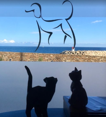 Societe Veterinaire Cas&rsquo;Animalia