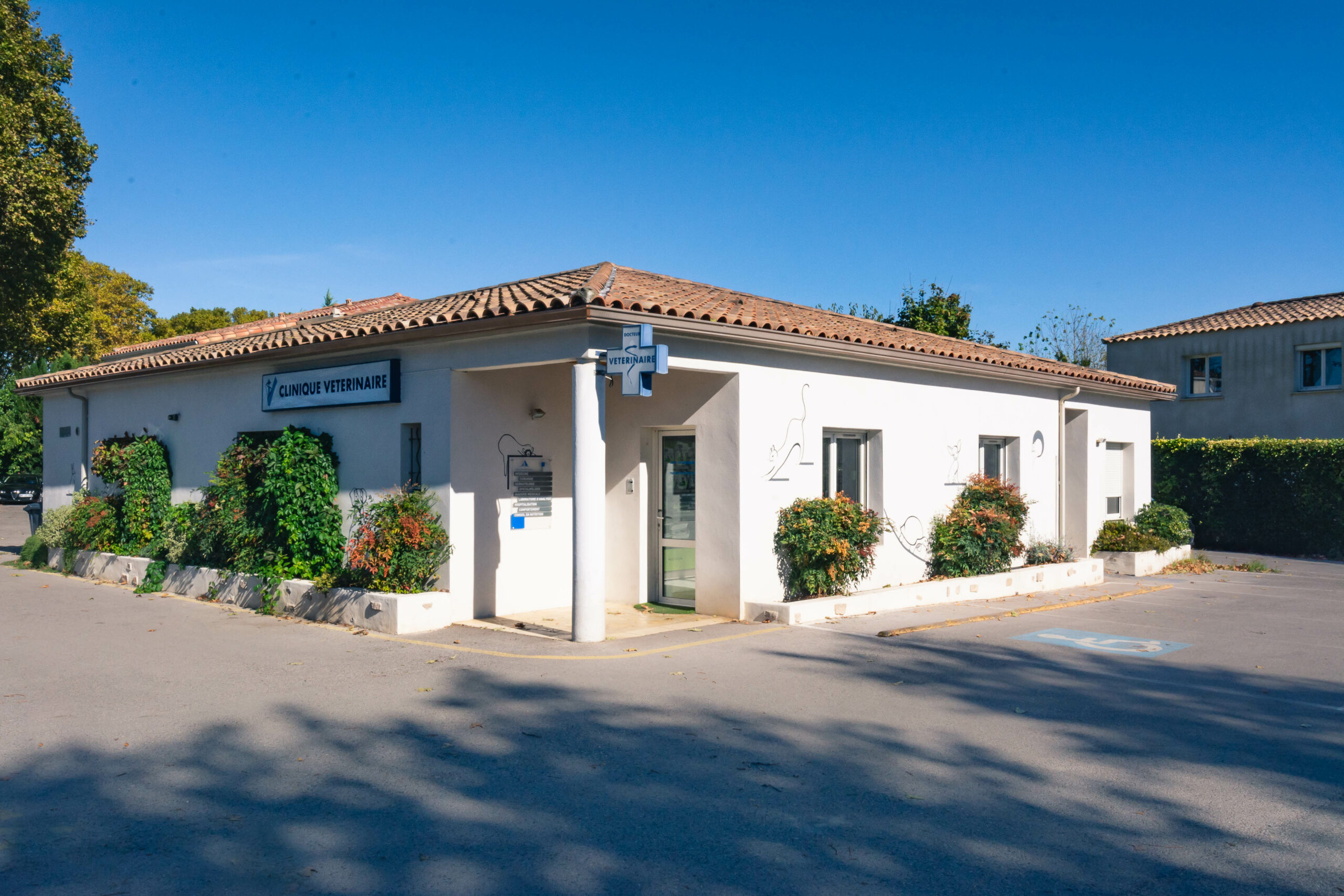 Clinique Veterinaire du Fescau