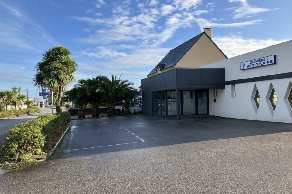 Clinique veterinaire des Pieux