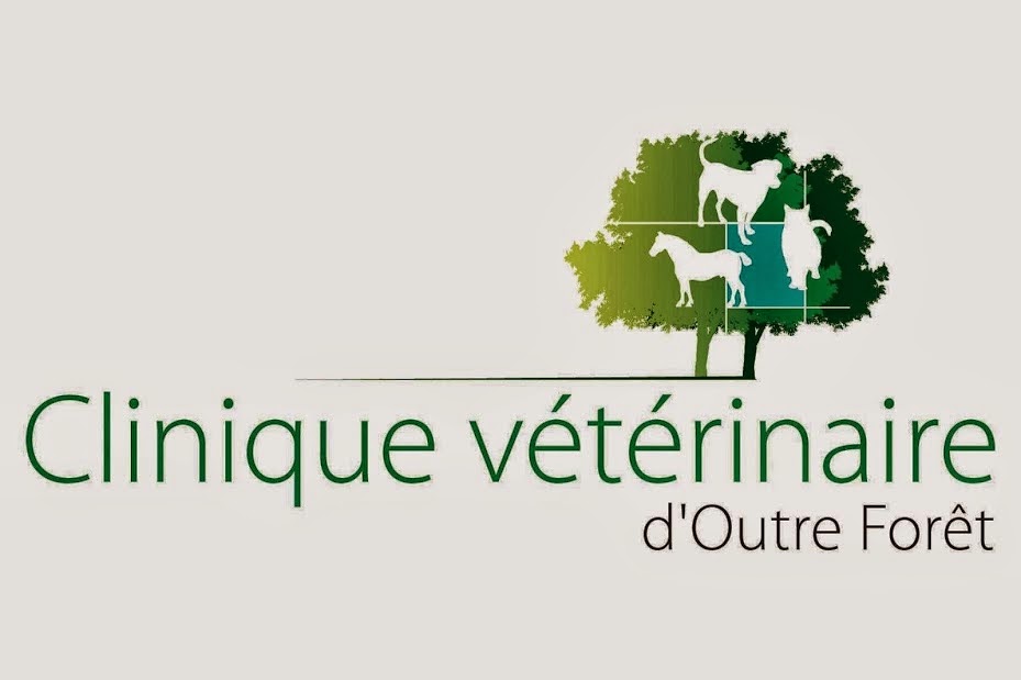 Clinique Veterinaire d&rsquo;Outre Foret