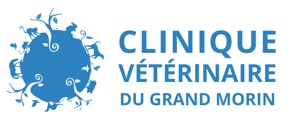 Clinique Vétérinaire du Grand Morin
