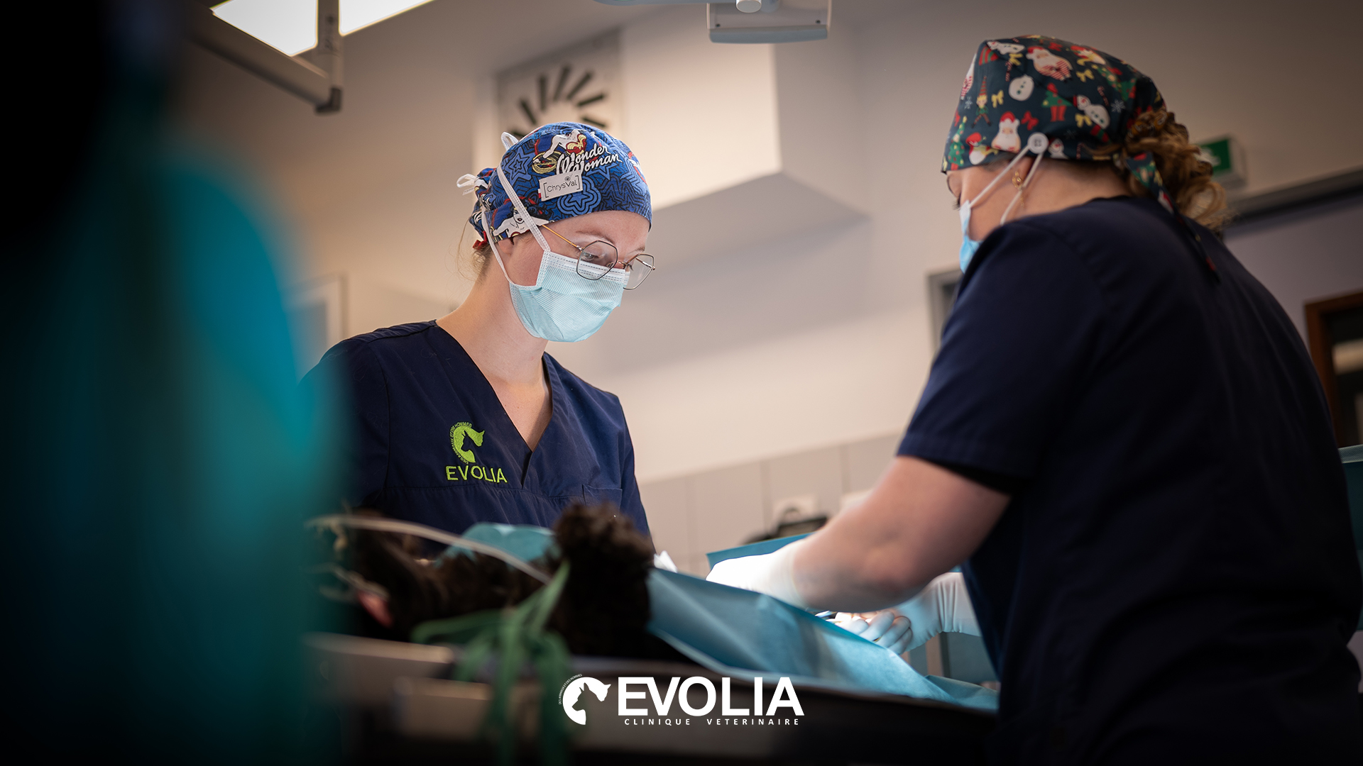 Evolia