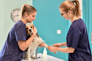 Vaccination